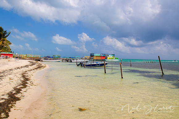 BZE - IMG_7063