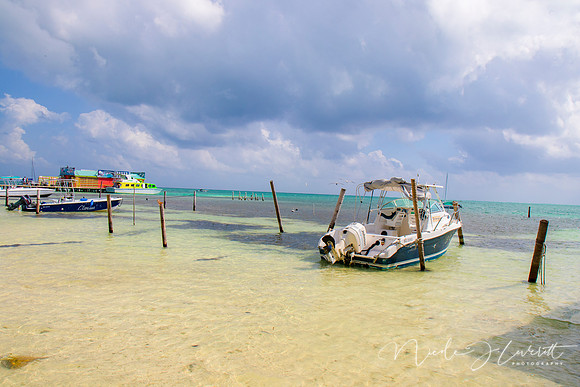 BZE - IMG_7064