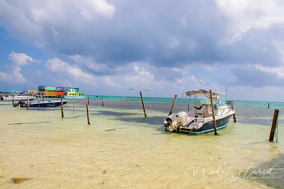 BZE - IMG_7065