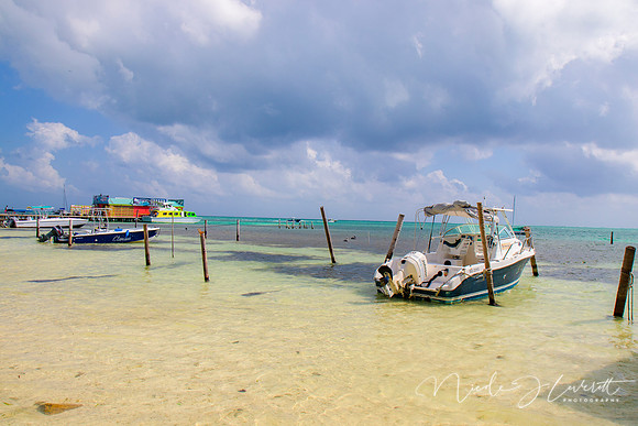BZE - IMG_7066