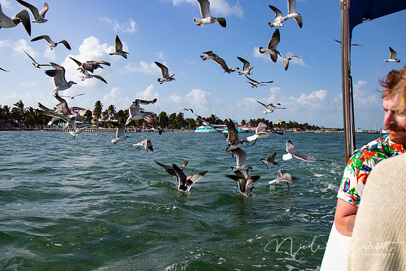 BZE - IMG_7136