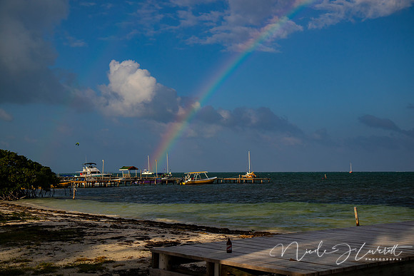 BZE - IMG_7248