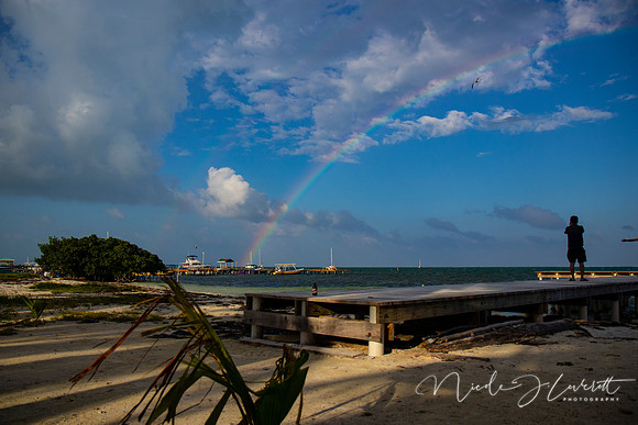 BZE - IMG_7249