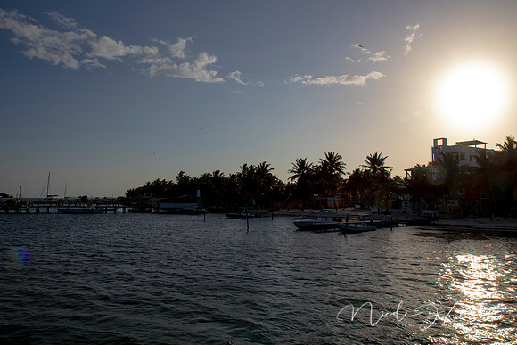 BZE - IMG_7256