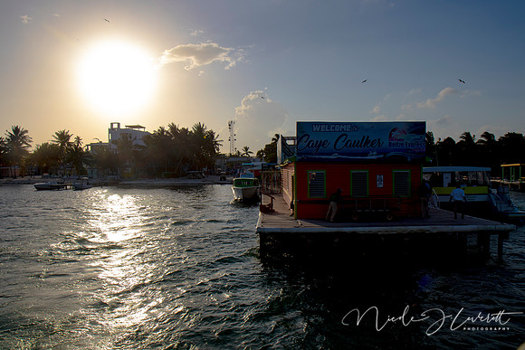 BZE - IMG_7264