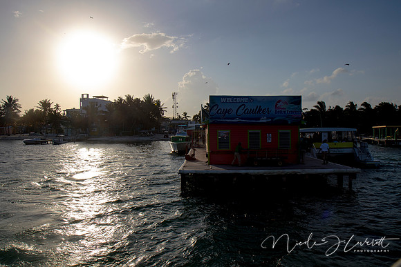 BZE - IMG_7266