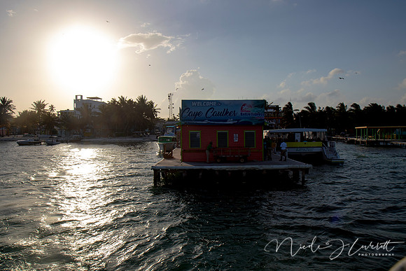 BZE - IMG_7268