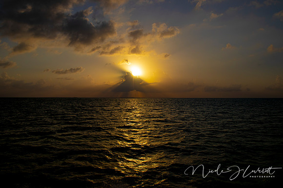 BZE - IMG_7317