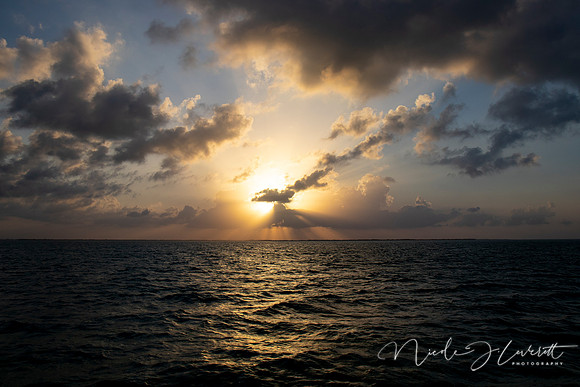 BZE - IMG_7323