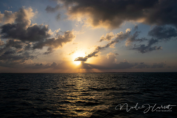 BZE - IMG_7325