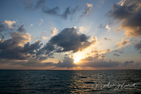 BZE - IMG_7328