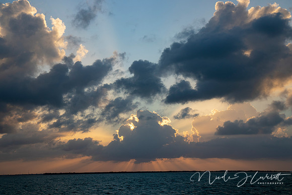 BZE - IMG_7339