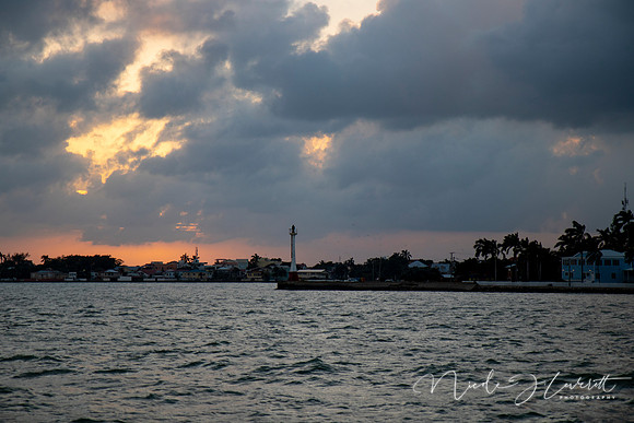 BZE - IMG_7364