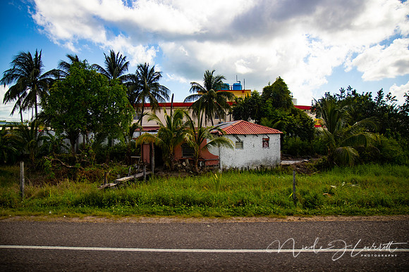 BZE - IMG_7568